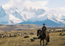 Chile-Patagonia / Torres del Paine-Criollos, Rivers and Lakes in Patagonia